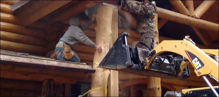 Log Home Log Replacement  Pickens County, Alabama
