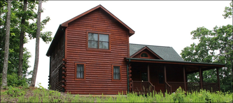Professional Log Home Borate Application  Ethelsville, Alabama